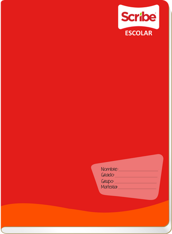 Francés Scribe Engrapado 100h Doble Raya 6234