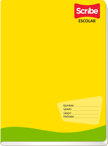 Francés Scribe Engrapado 100h Blanco 6231