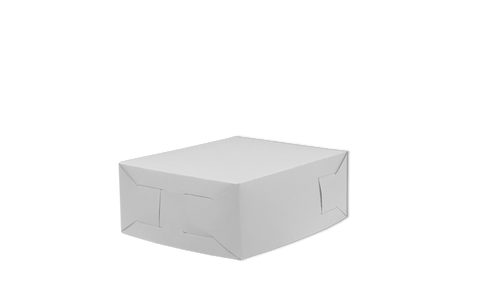 Caja No.9  23.5x20x10  C/25
