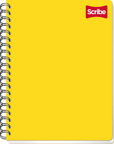 Profesional Scribe Espiral Mixto 100H 2907
