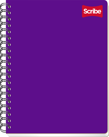 Profesional Scribe Espiral Doble Raya 100H 2904