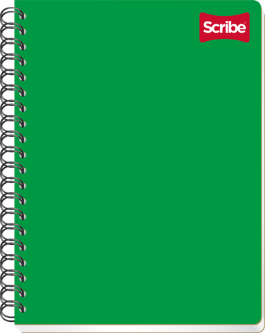 Profesional Scribe Espiral Cuadro 5mm 100H 2902