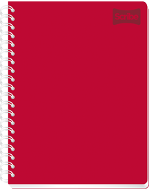 Profesional Scribe Universitario 200H Raya 2210