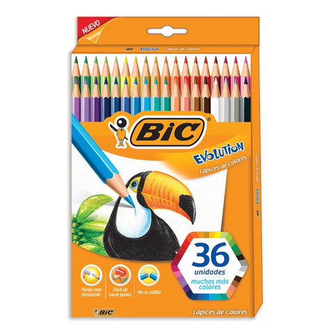 Colores Bic Evolution C/36