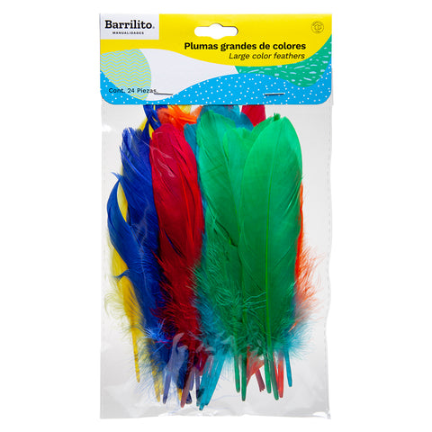 Plumas Acme Grandes Colores F024