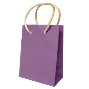 Bolsa Kraft VZ Lisa Color Micro C/10 Lila