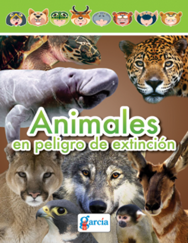 Libro Informativo El Reino Animal