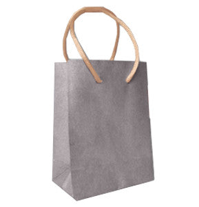 Bolsa Kraft VZ Lisa Color Micro C/10 Plata