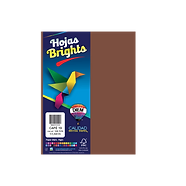 Hoja Colores Diem C/100 Cafe 19