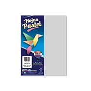 Hoja Colores Diem C/100 Gris 11