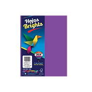 Hoja Colores Diem C/100 Morado Intenso 27