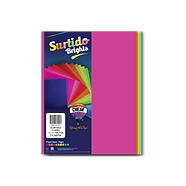 Hoja Colores Diem C/100 Surtido Brights